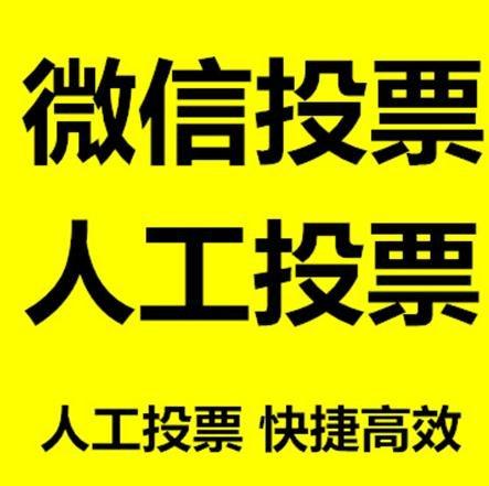 台湾投票活动拉票能被查出来吗？如何操作能不被发现？